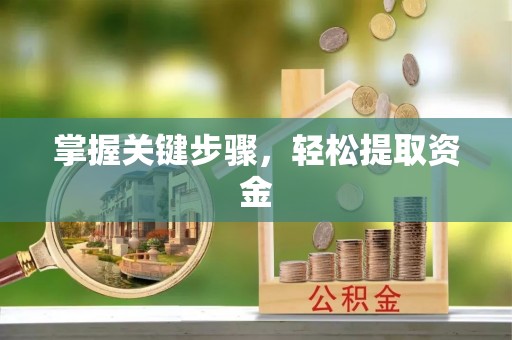 凌源掌握关键步骤，轻松提取资金