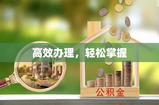 凌源高效办理，轻松掌握