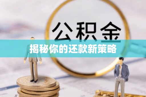凌源揭秘你的还款新策略