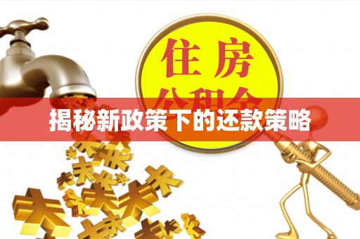 凌源揭秘新政策下的还款策略