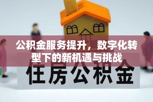 凌源公积金服务提升，数字化转型下的新机遇与挑战