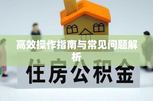凌源高效操作指南与常见问题解析