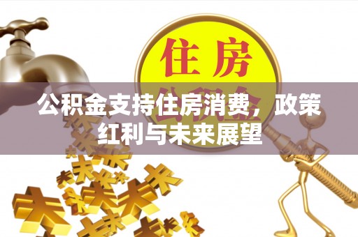 凌源公积金支持住房消费，政策红利与未来展望
