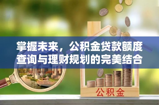凌源掌握未来，公积金贷款额度查询与理财规划的完美结合
