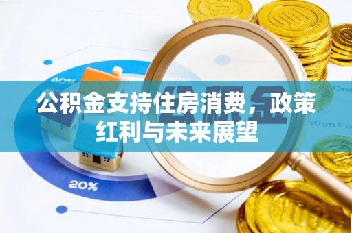 凌源公积金支持住房消费，政策红利与未来展望