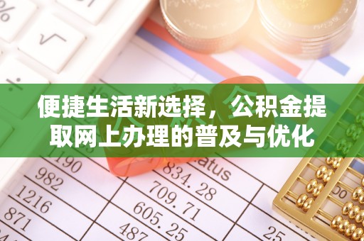 凌源便捷生活新选择，公积金提取网上办理的普及与优化