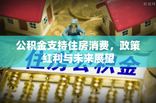 凌源公积金支持住房消费，政策红利与未来展望