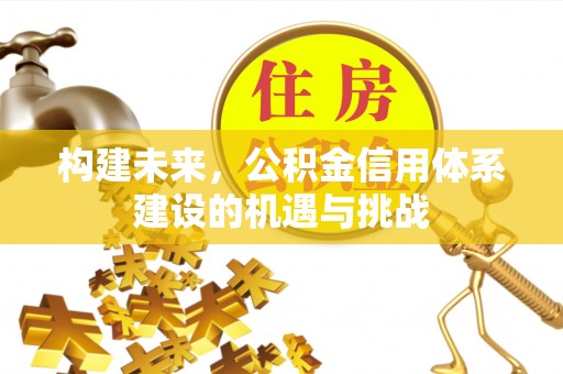 凌源构建未来，公积金信用体系建设的机遇与挑战