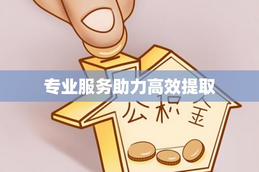 凌源专业服务助力高效提取