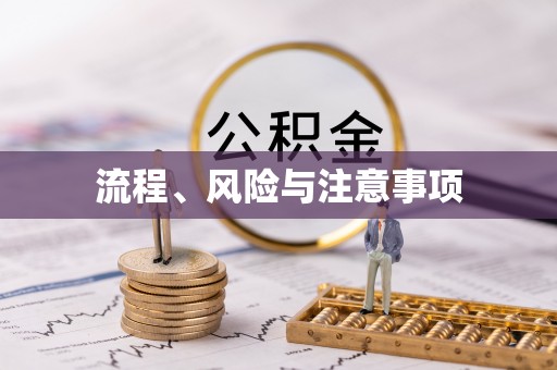 凌源流程、风险与注意事项